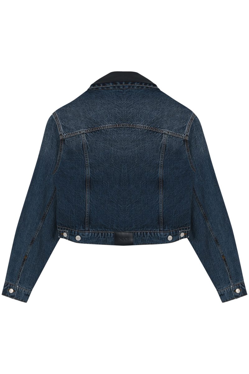 Kyle Denim Ceket - Görsel 2